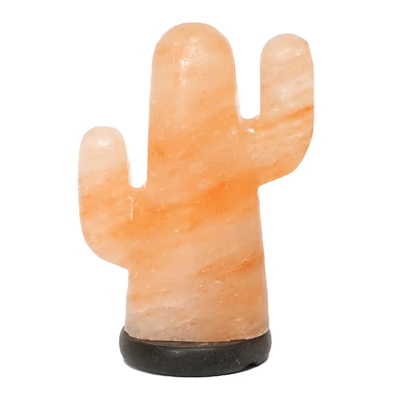 Lava Lamps for Spa Centers to Create a Soothing AtmosphereCactus Salt Lamp (12V -12W)