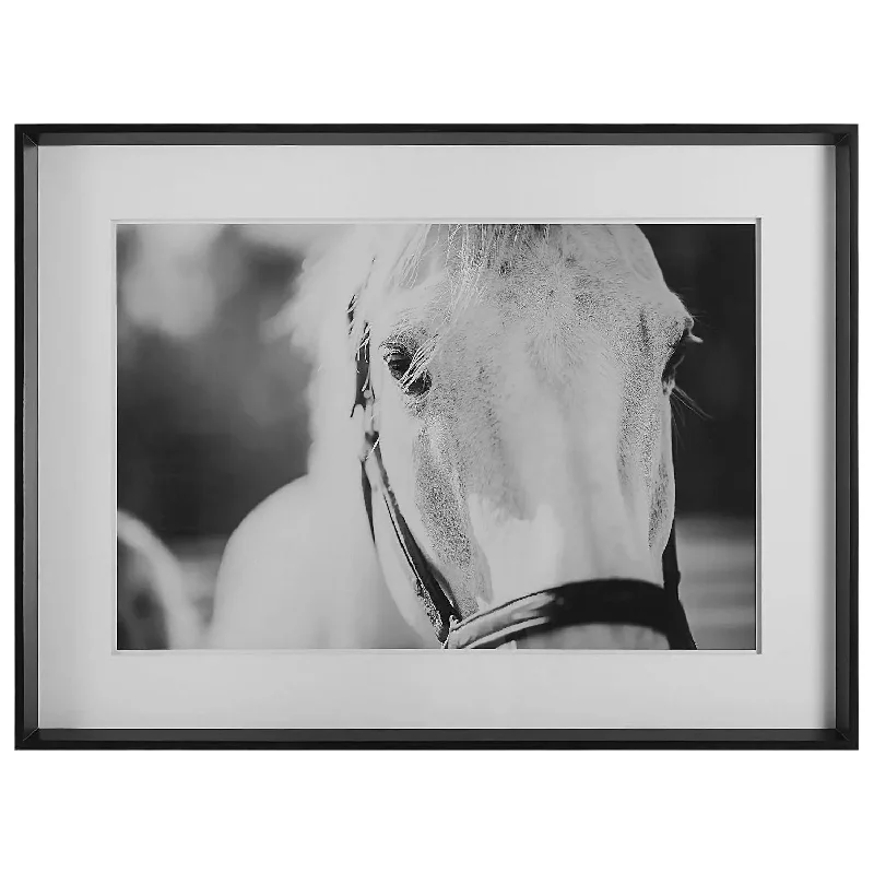 Eyes On The Prize Framed Print