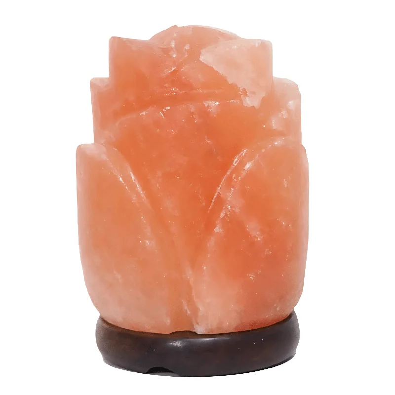 Lava Lamps for Pet Stores to Make the Environment More Inviting2-3kg Rose Salt Lamp – Timber Base (12V – 12W) Lava Lamps for Pet Stores to Make the Environment More Inviting2-3kg Rose Salt Lamp – Timber Base (12V – 12W)