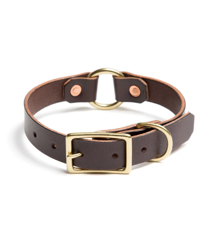 Money clips for holding large amounts of cashCountry Dog Collar // Dark Brown