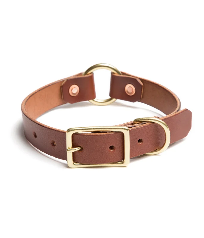 Personalized engraved money clips for menCountry Dog Collar // Medium Brown